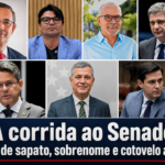 Semana do Senado: duas cadeiras, onze egos e uma esposa na suplência