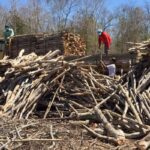 Caatinga sob ataque: 700 hectares devastados e R$ 1,3 milhão em multas