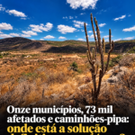 Blind Date Notícias