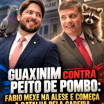 O Guaxinim tem seis deputados, o Pombo tem o governador: quem pousará na presidência da Alese?